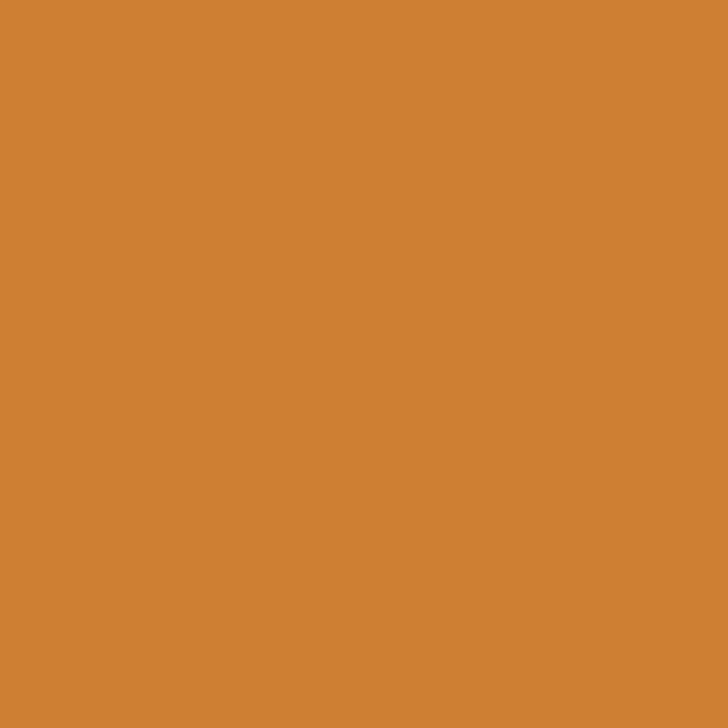 Bronze-background-image.webp
